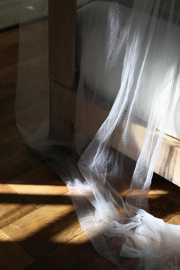 مدينة مكسيكو El Patio 77 B&B المظهر الخارجي الصورة