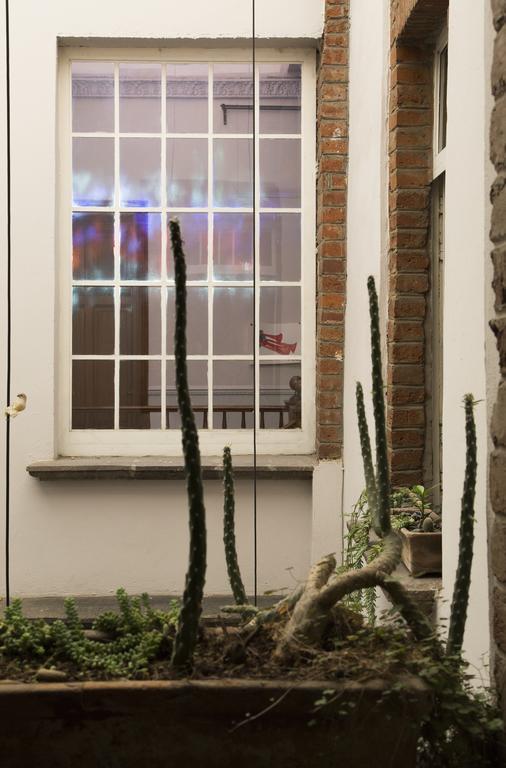 مدينة مكسيكو El Patio 77 B&B المظهر الخارجي الصورة