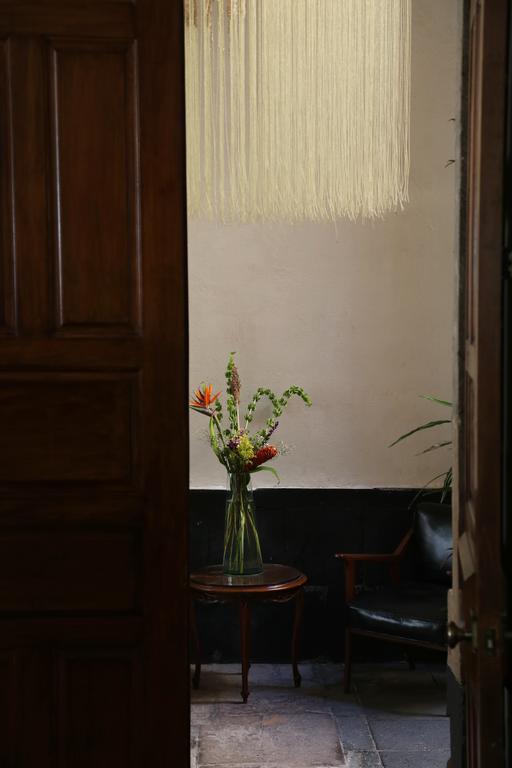 مدينة مكسيكو El Patio 77 B&B المظهر الخارجي الصورة