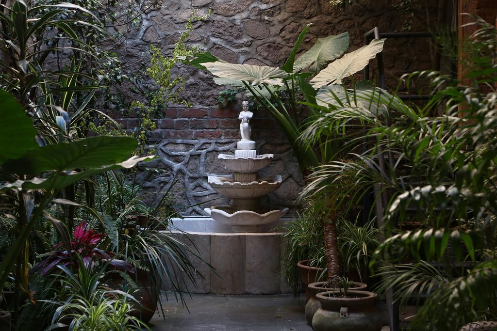 مدينة مكسيكو El Patio 77 B&B المظهر الخارجي الصورة