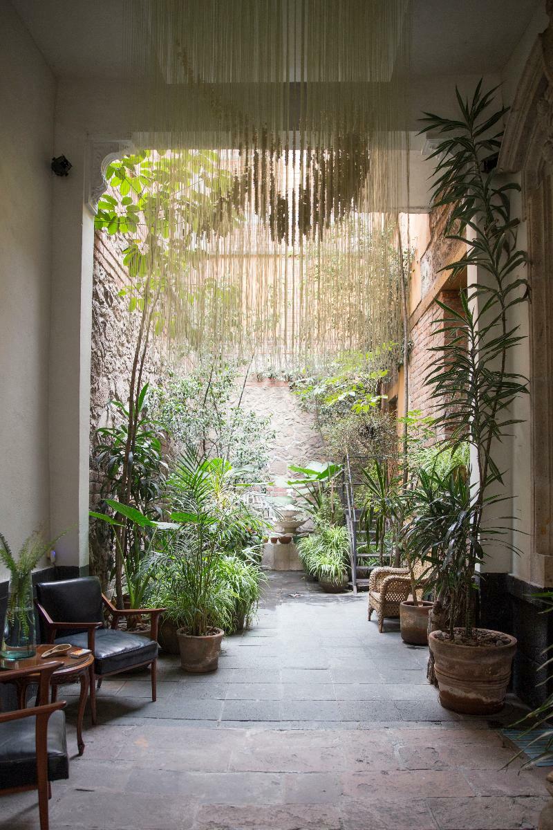 مدينة مكسيكو El Patio 77 B&B المظهر الخارجي الصورة